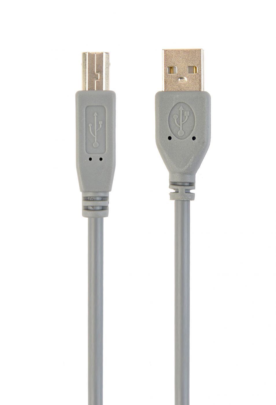 Kabelis Cablexpert CCP-USB2-AMBM-6G USB 2.0