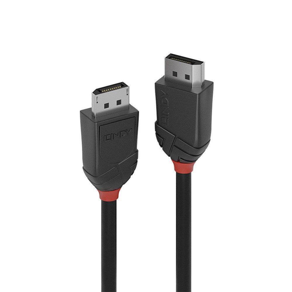 Monitoru piederums LINDY CABLE DISPLAY PORT