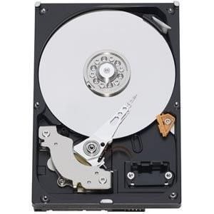 Cietais disks HDD Western Digital HDD||Blue|2TB|SATA