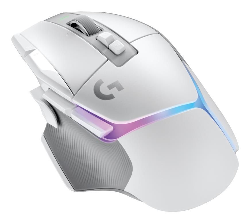Datora pele Logitech MOUSE USB OPTICAL