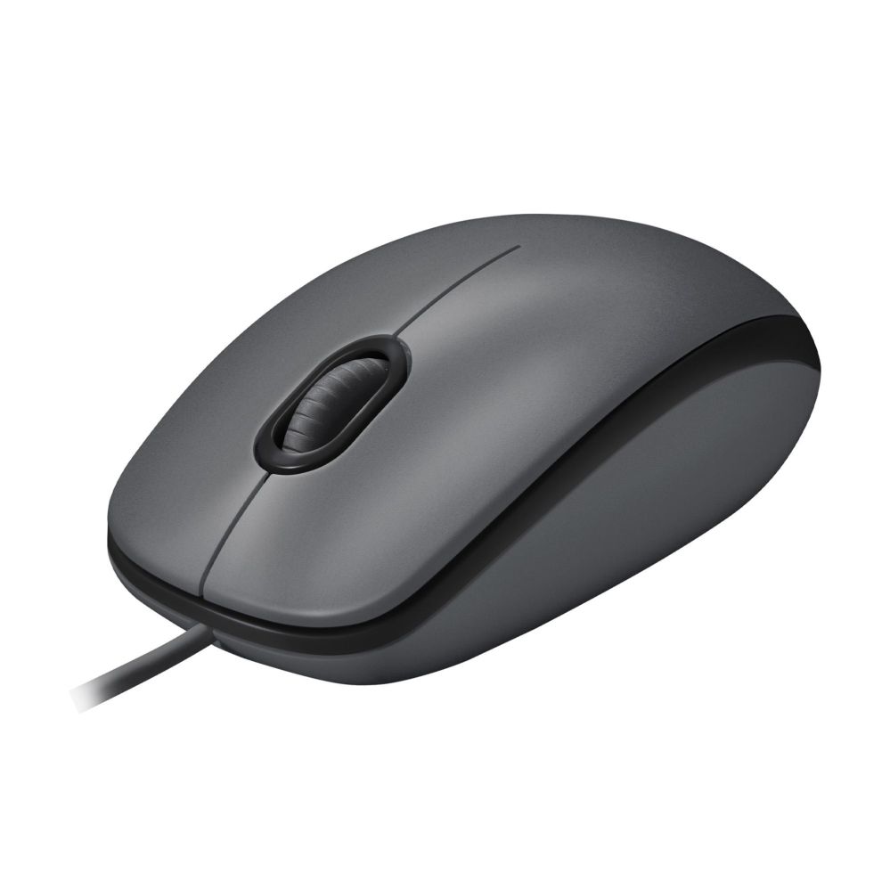 Datora pele Logitech MOUSE USB OPTICAL