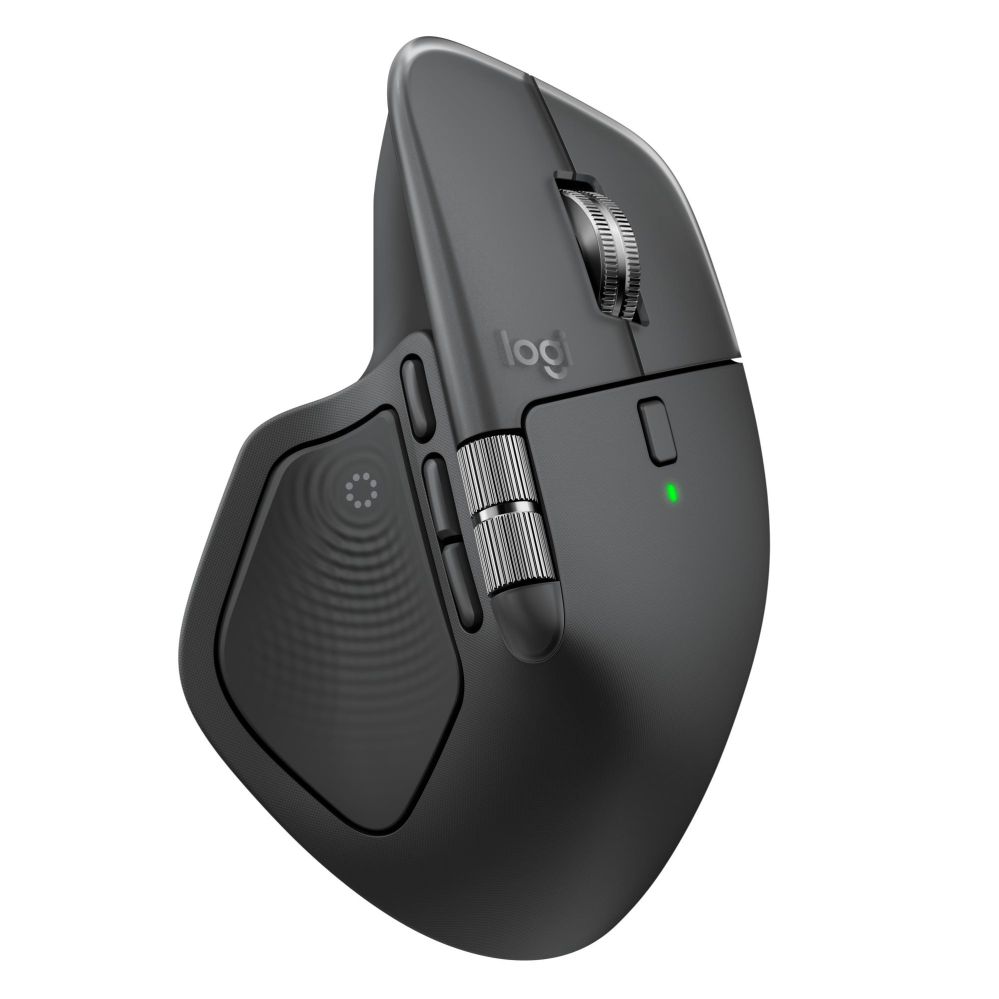 Datora pele Logitech MOUSE USB WRL