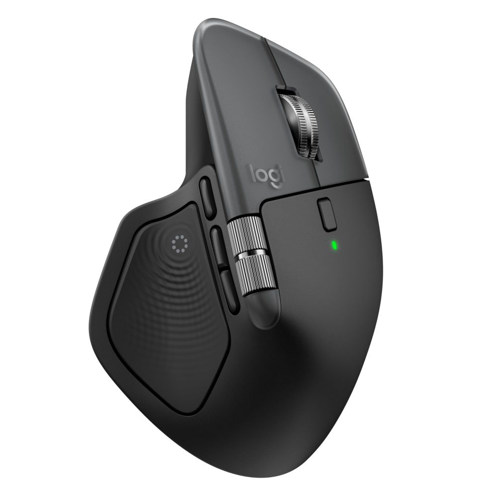 Datora pele Logitech MOUSE USB WRL