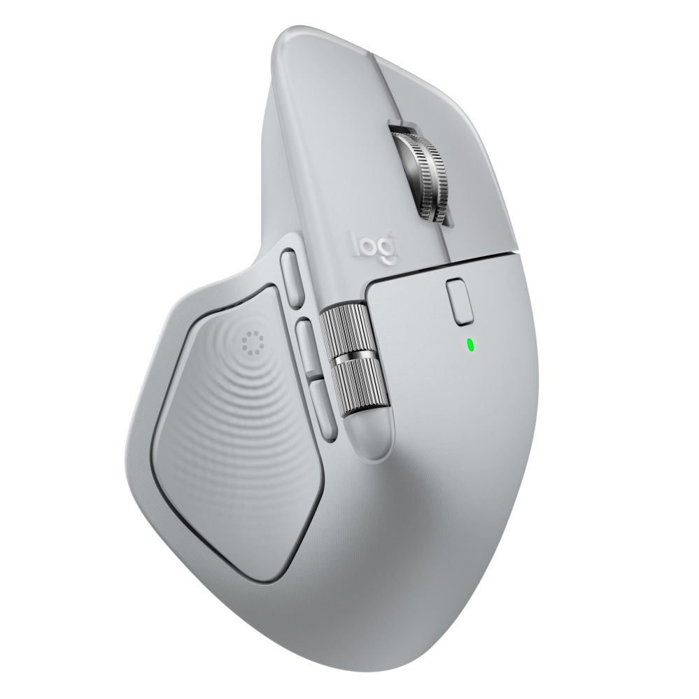 Datora pele Logitech MOUSE USB WRL