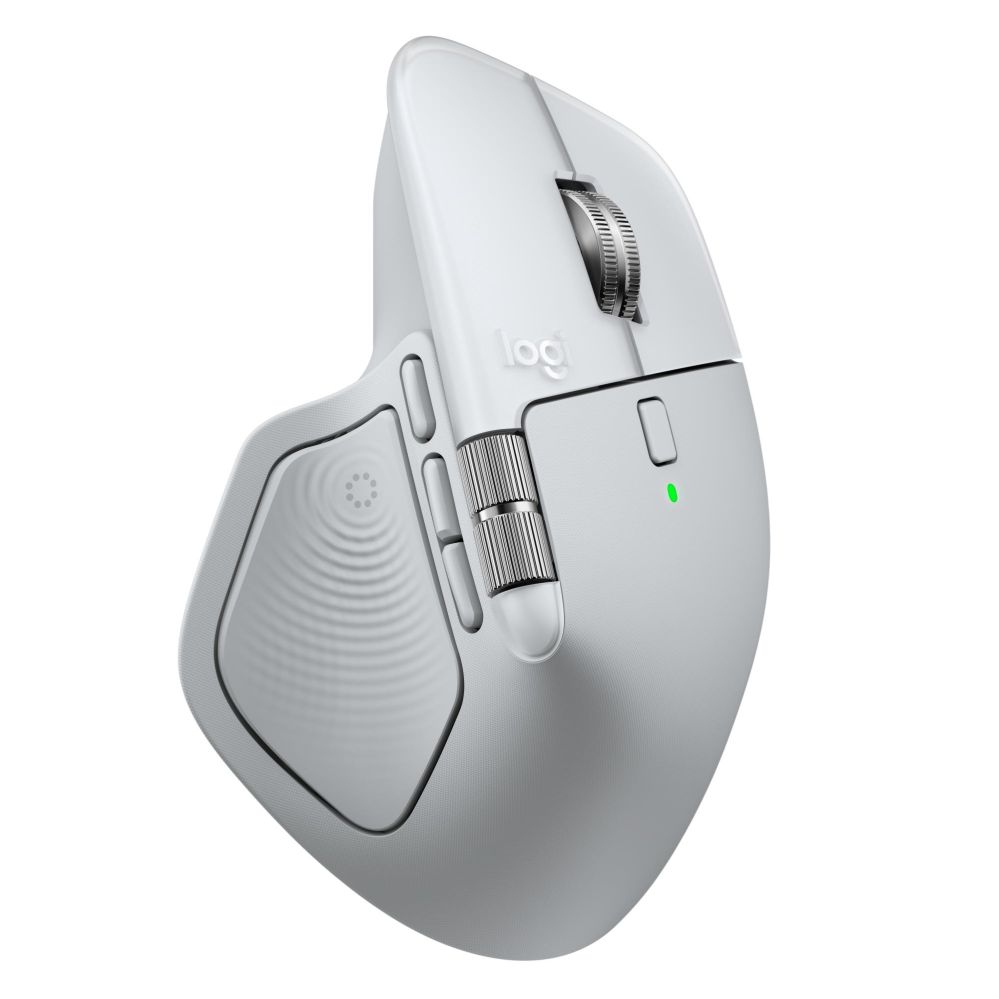 Datora pele Logitech MOUSE USB WRL