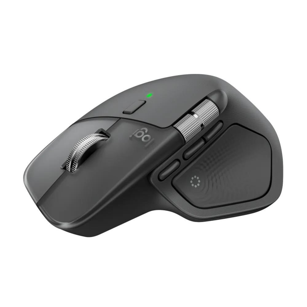 Datora pele Logitech MOUSE USB WRL