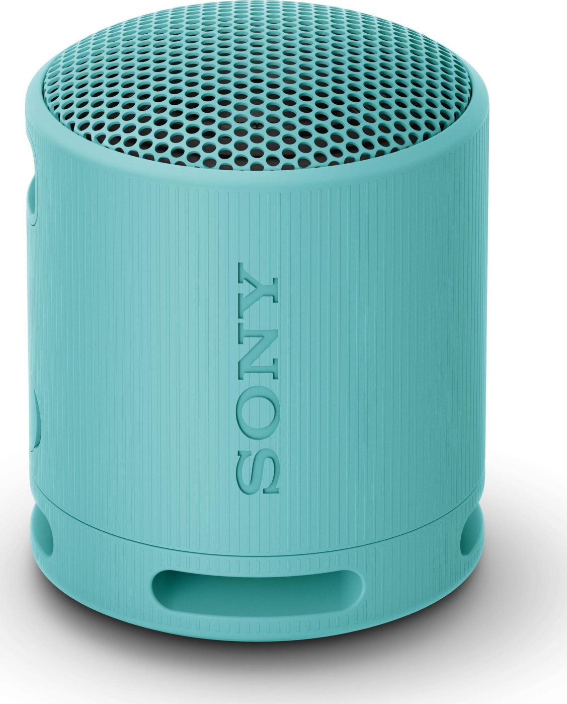 Auto Aksesuāri Sony Sony Loudspeakers SRSXB100L