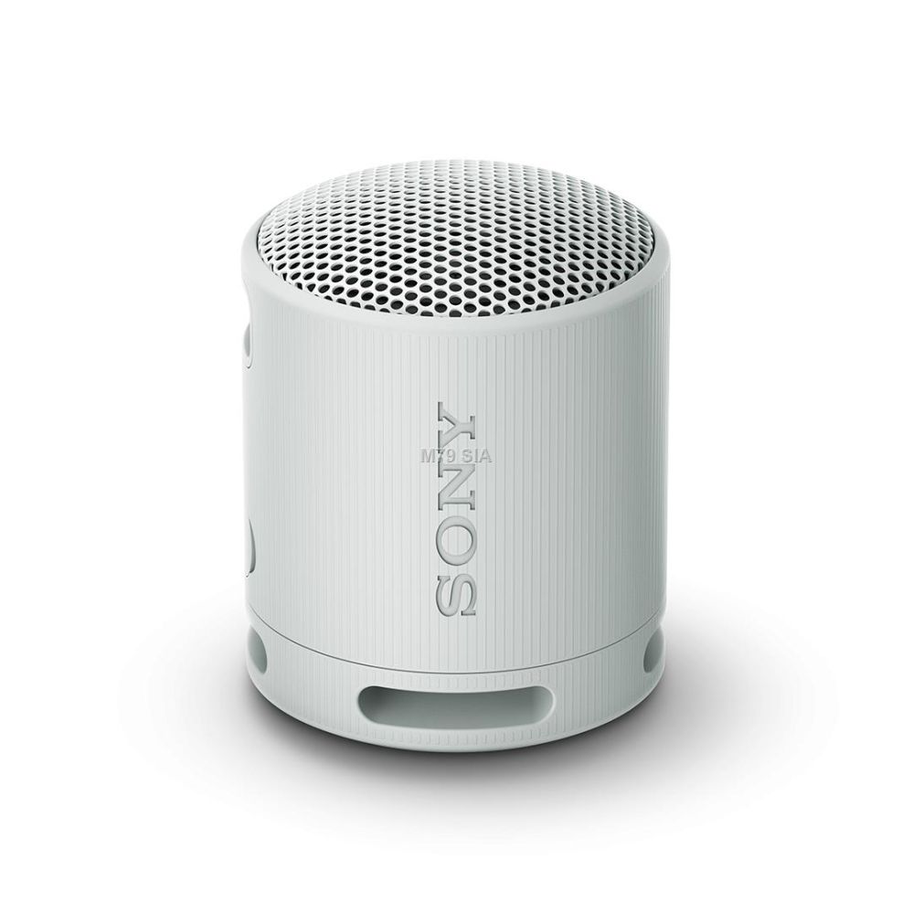 Auto Aksesuāri Sony Sony SRS-XB100 Grey