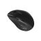 Datora pele Canyon CANYON mouse OnClick