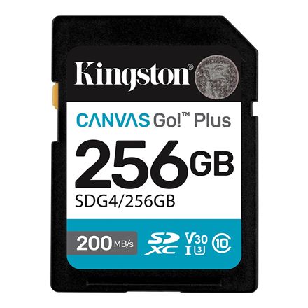 Datu nesēji kingston technology  KINGSTON 256GB