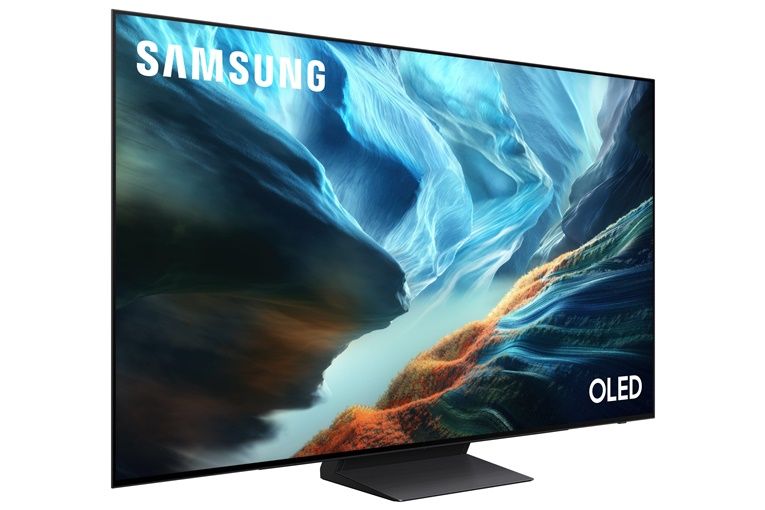 Televizori Samsung  Samsung QE65S90HAE 165.1