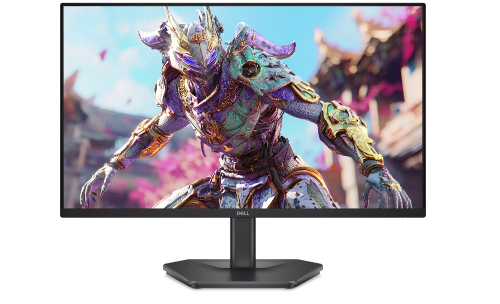 Monitors Dell LCD SE2426HG 24" IPS